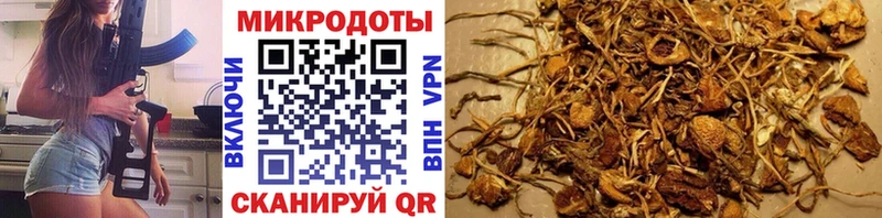 Галлюциногенные грибы прущие грибы  где найти наркотики  Таруса 